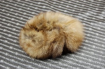 ロシアンセーブル　シュシュの画像