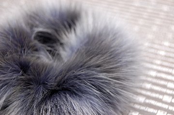 ロシアンセーブル　シュシュの画像