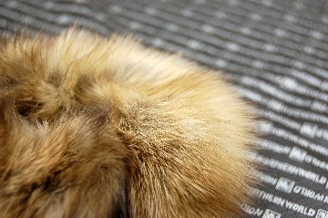 ロシアンセーブル　シュシュの画像