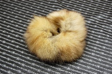 ロシアンセーブル　シュシュの画像