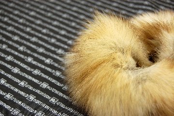 ロシアンセーブル　シュシュの画像