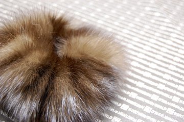 ロシアンセーブル　シュシュの画像