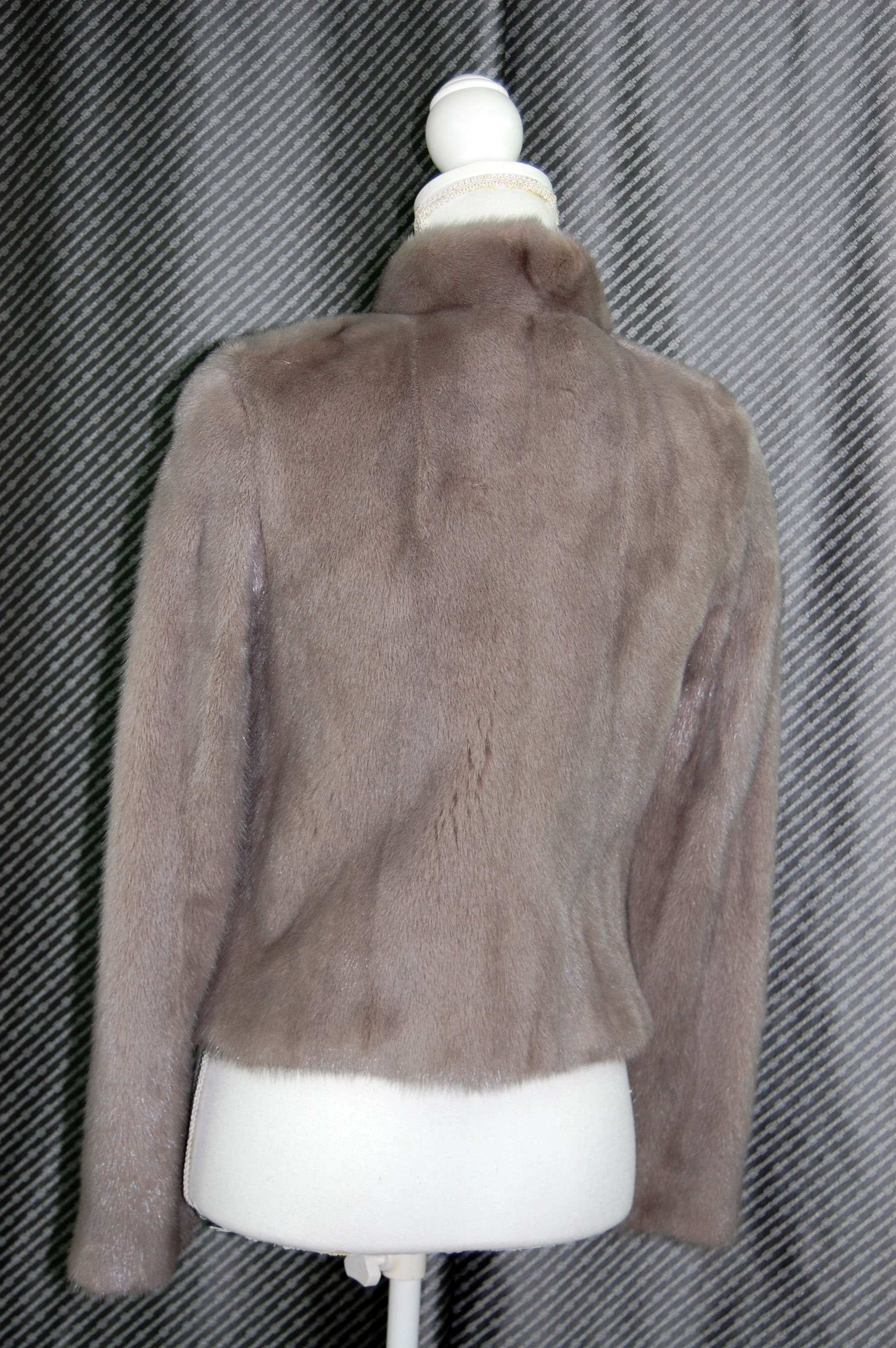 ダイドミンク　ショートジャケットの画像