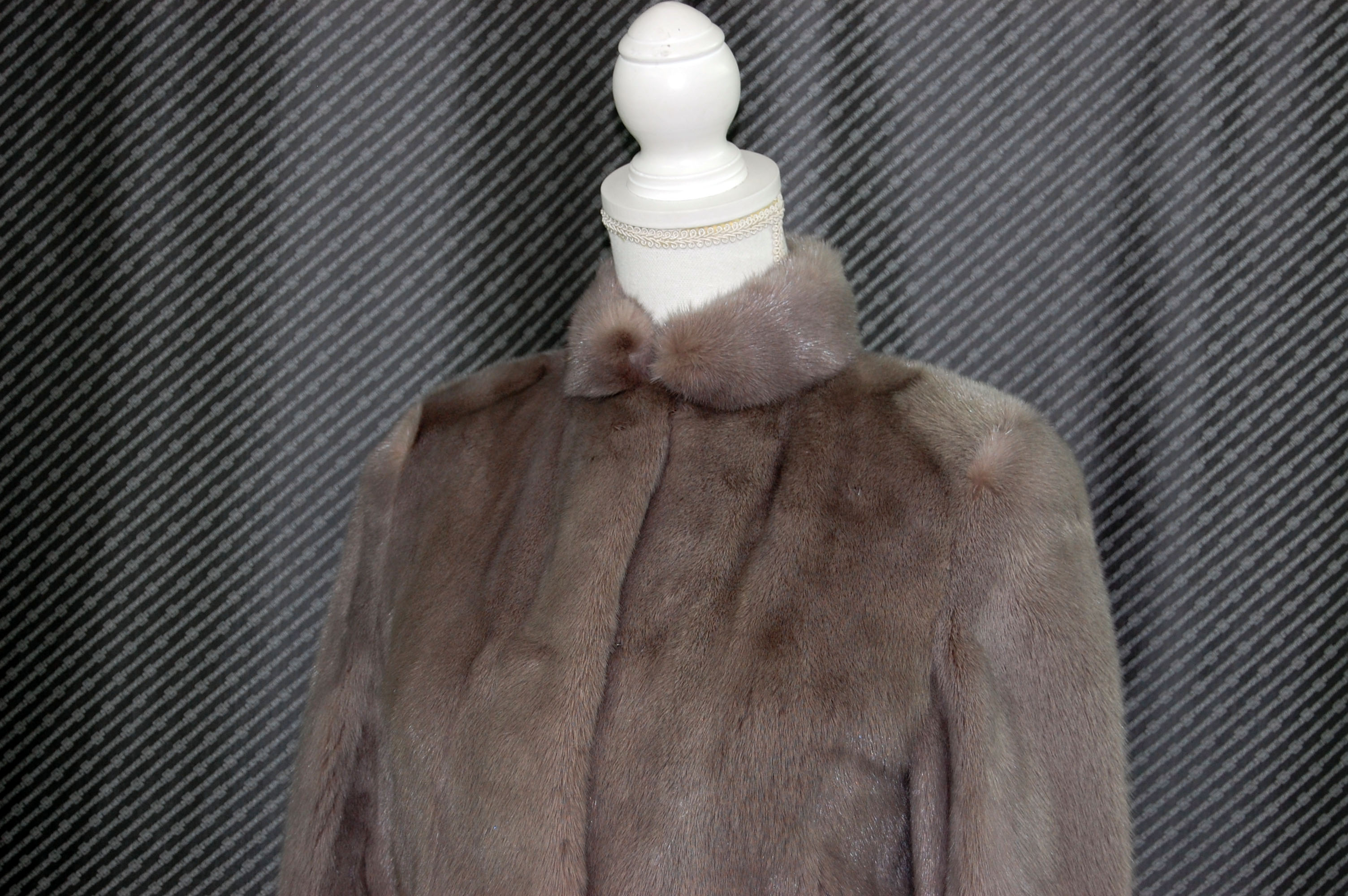 ダイドミンク　ショートジャケットの画像