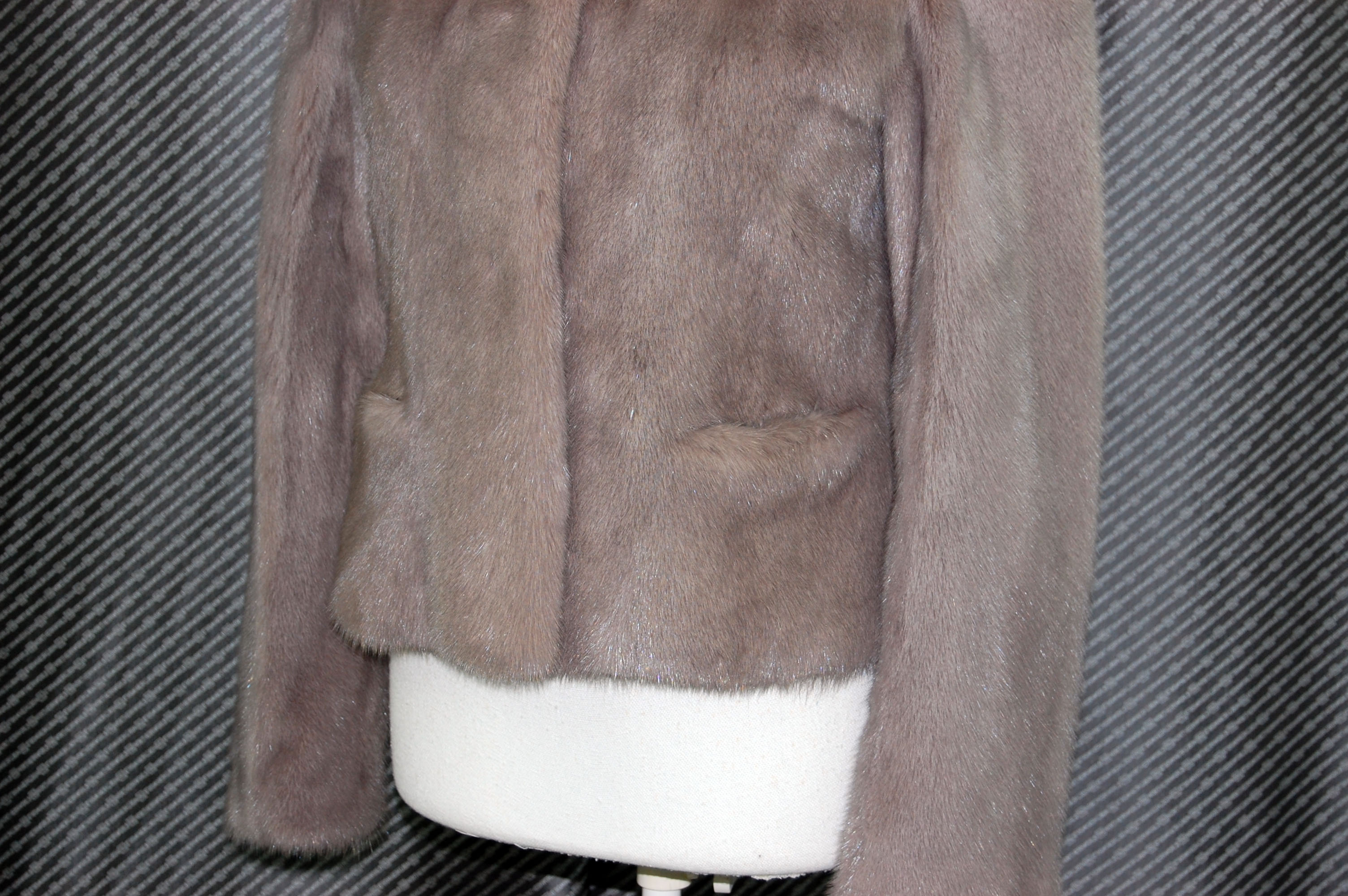 ダイドミンク　ショートジャケットの画像