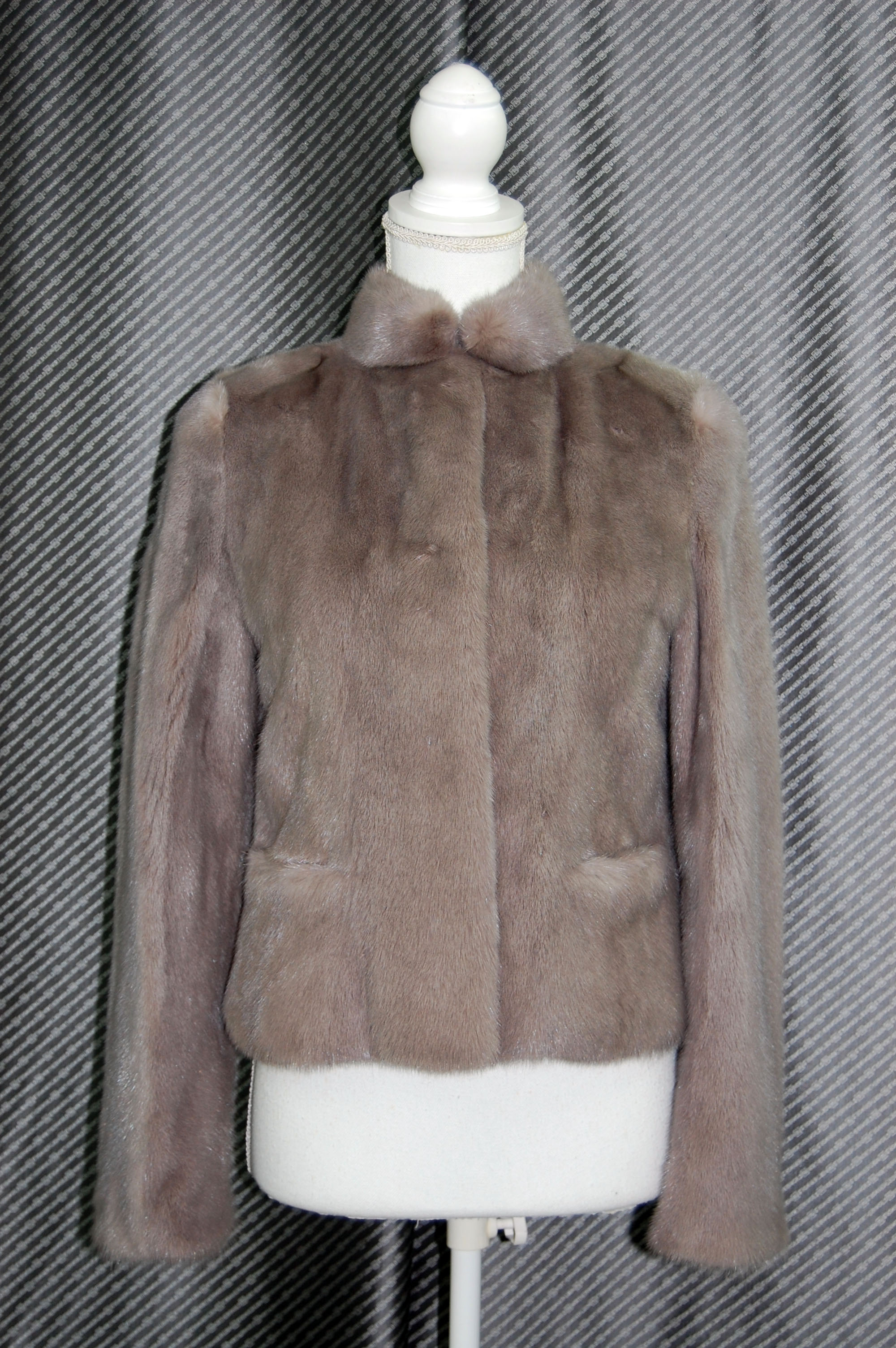 ダイドミンク　ショートジャケットの画像