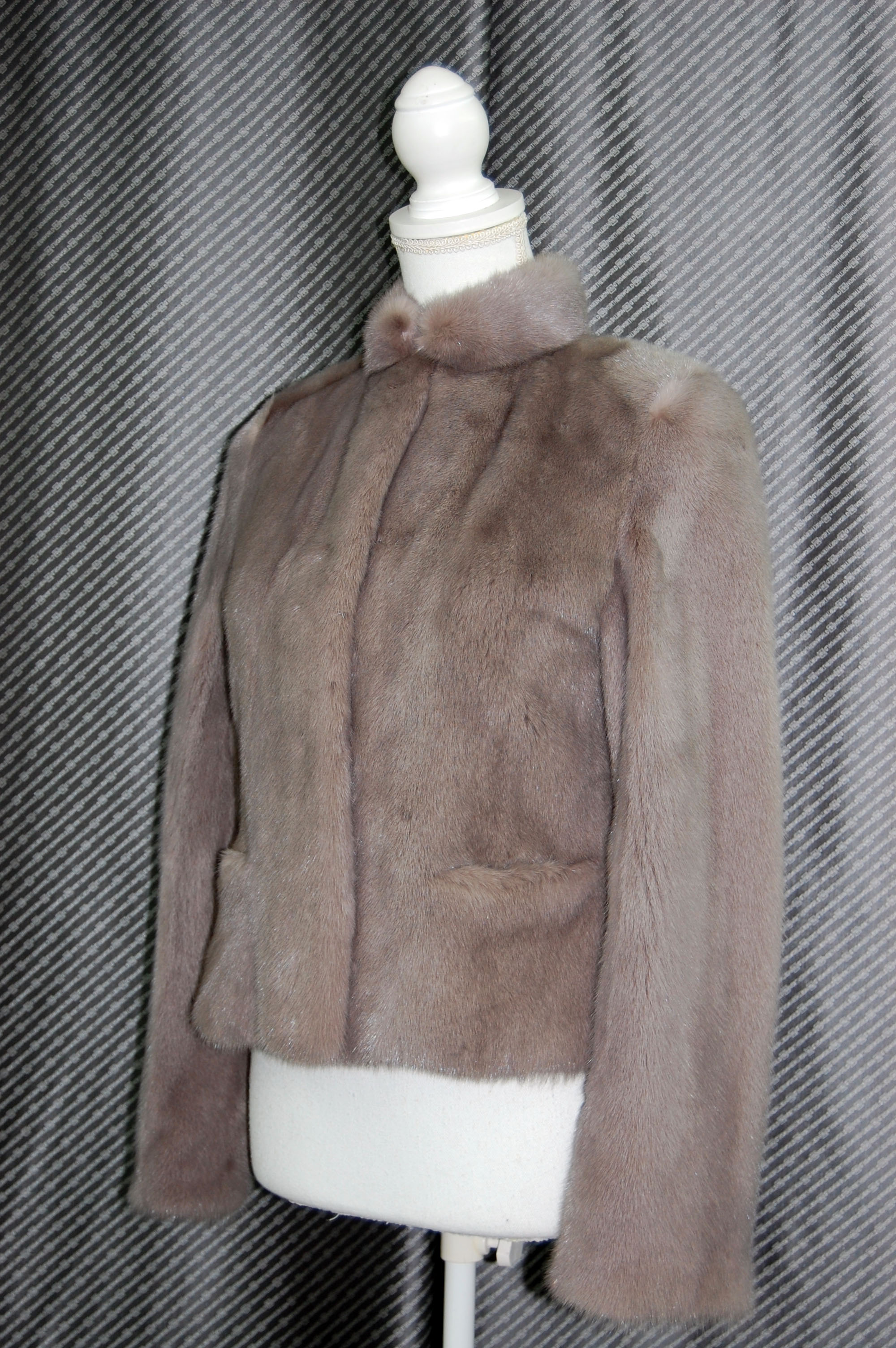 ダイドミンク　ショートジャケットの画像