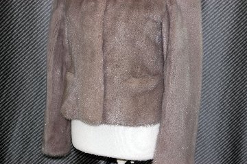 ダイドミンク　ショートジャケットの画像