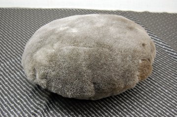 ナチュラルスポット刈毛ムートン　円形クッションの画像