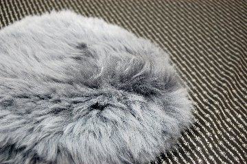 長毛ムートン　円形座布団クッションの画像
