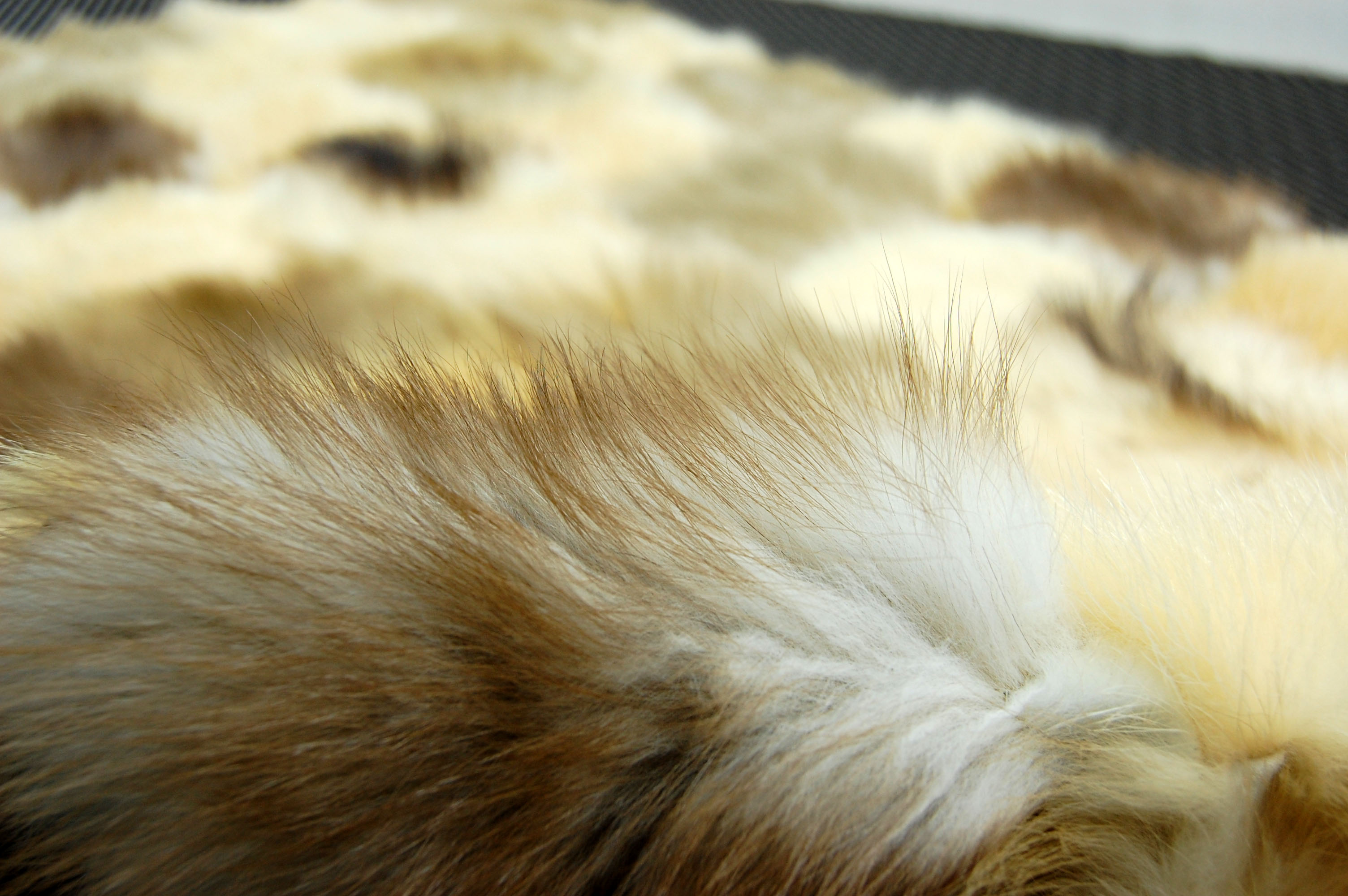 『訳あり』フィッチ＆ストーンマーテンプレート　裏無しラグマットの画像