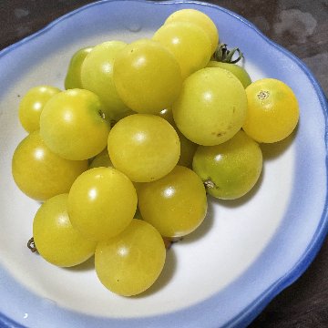 ホワイトチェリー（ミニトマトの種）20粒の画像