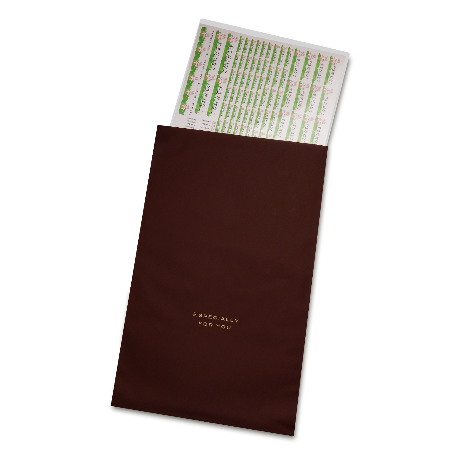 クリアファイルごとギフトラッピング袋に入れいます