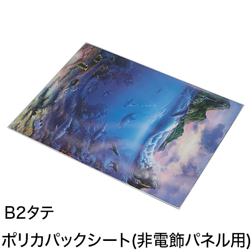 ポリカパックシート(非電飾パネル用) B2タテの画像