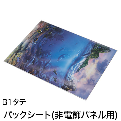 パックシート(非電飾パネル用) B1タテの画像