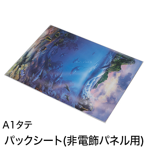 パックシート(非電飾パネル用) A1タテの画像