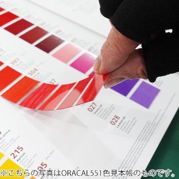 ORACAL851 色見本帳の画像