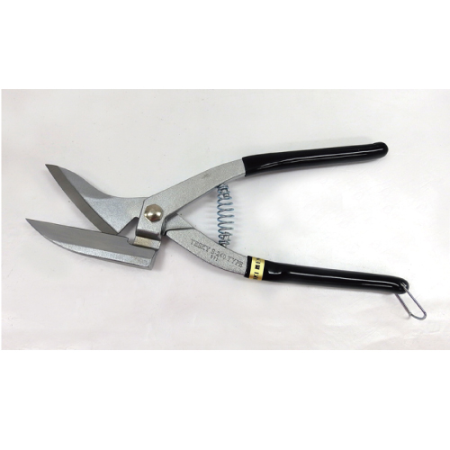 テスキーSの画像