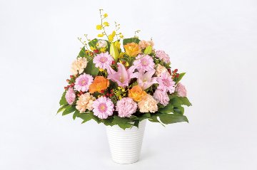 ［祝花］アレンジメント（ピエフ6NロングW）画像