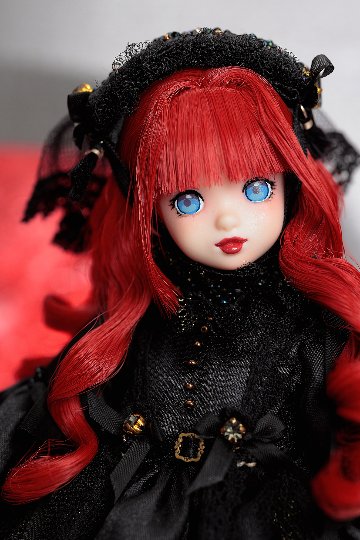 ★抽選販売★ #000000 Jewel Black Rabbitの画像