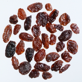 レーズンの画像