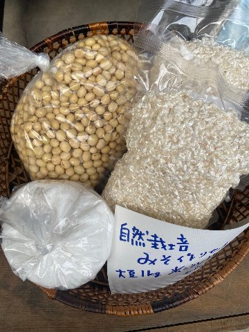 味噌つくりセット（大豆：丸玄＋米糀（生）：百菜劇場　ハーフ＆レギュラーサイズ）の画像