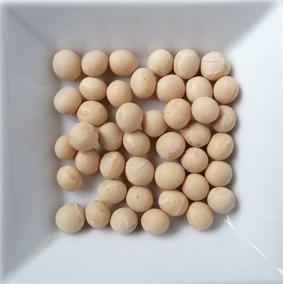 大豆（長谷川商店　200g・500g・1kg・2kg）の画像