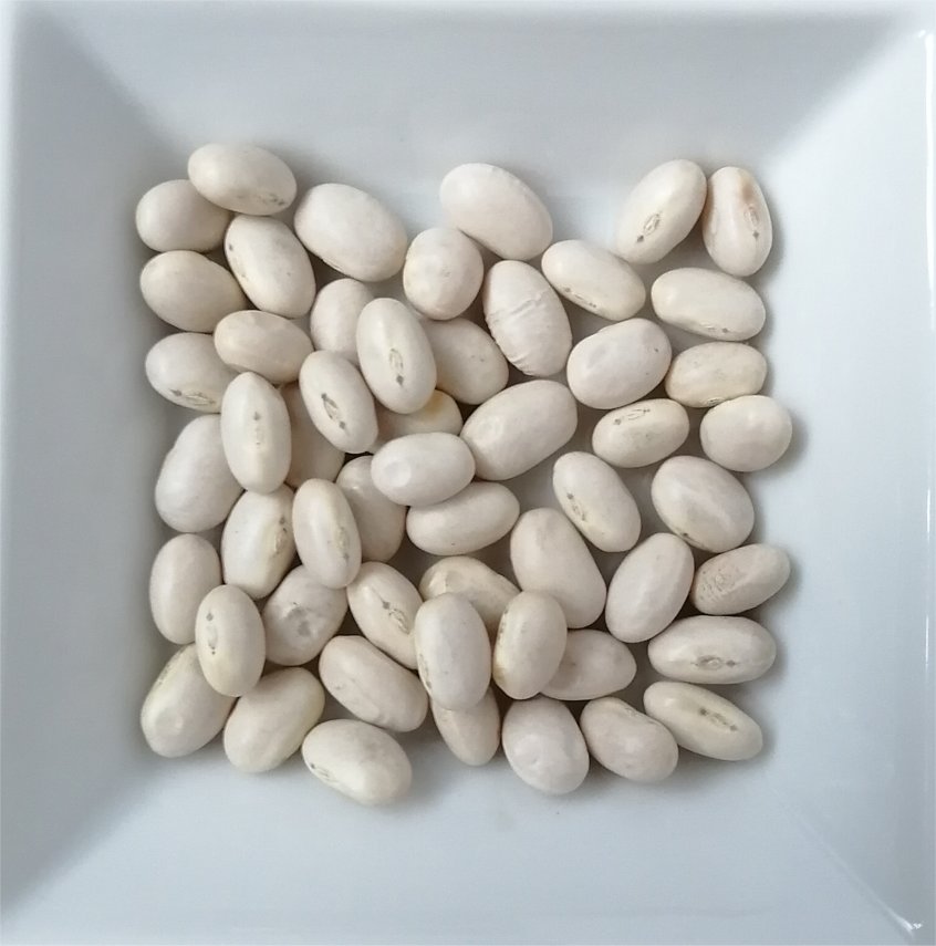 手亡（てぼう）（200g・500g）の画像