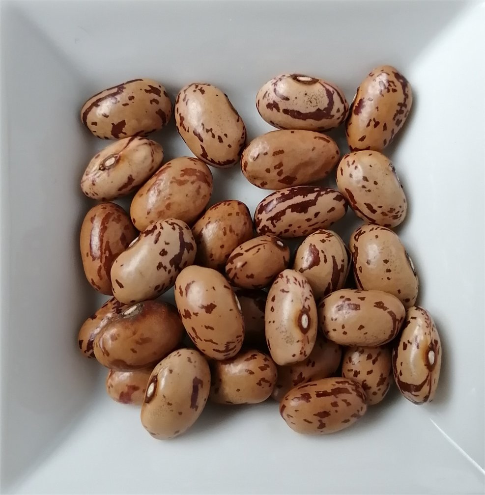 うずら豆（長谷川商店　200g・500g） の画像