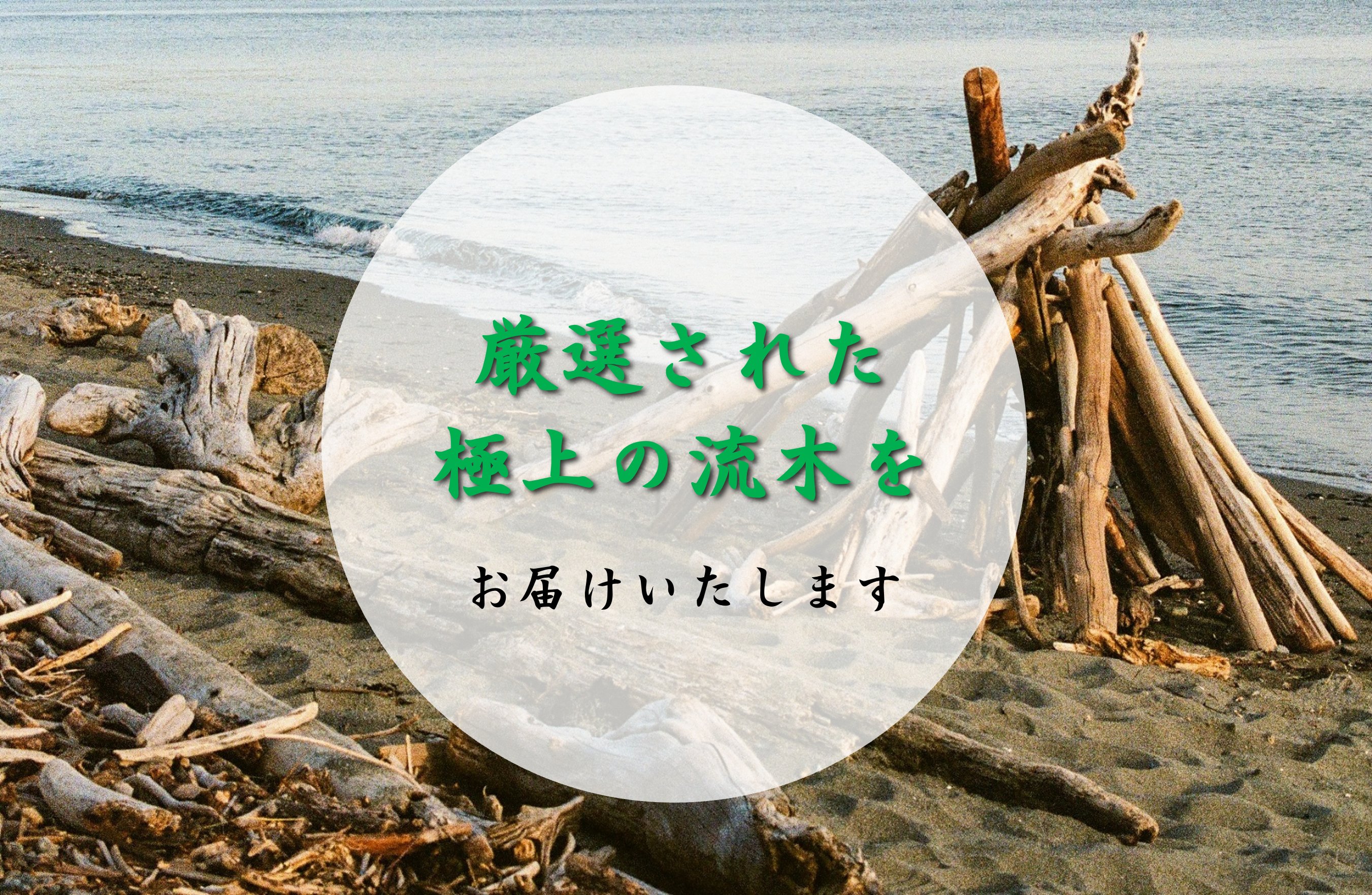 流木 一点物の通販 MRW-5824 赤系天然流木 自立流木 1点物