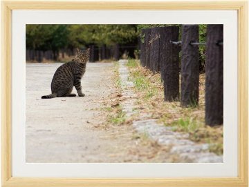 めぐり逢うって（酸素をはこぶ写真・A３サイズ）の画像