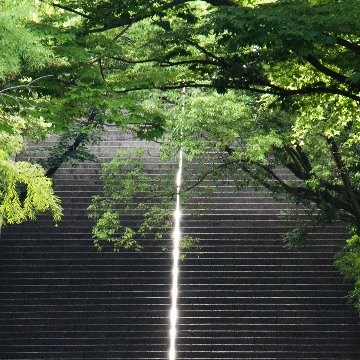 春の光（酸素をはこぶ写真・ミニ四角額）の画像