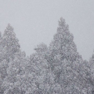 冷たい空気（酸素をはこぶ写真・ミニ四角額）の画像