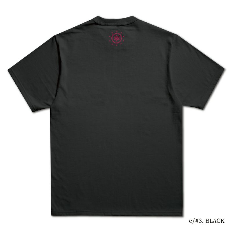 BGT4023-A FLYING BGT4023A DELUXEWARE デラックスウエアＴシャツ DALEE'S ダリーズTシャツの画像