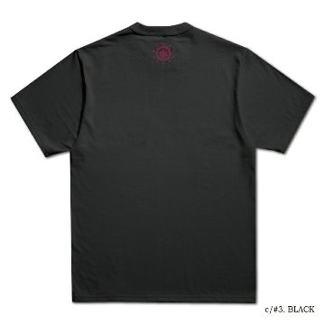 BGT4023-A FLYING BGT4023A DELUXEWARE デラックスウエアＴシャツ DALEE'S ダリーズTシャツの画像