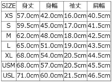 BRGD-23B ブランドロゴTシャツ23B BRGD23B DELUXEWARE デラックスウエアTシャツの画像