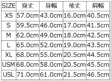 DXT-2303 THUNDER DXT2303 DELUXEWARE デラックスウエアＴシャツの画像