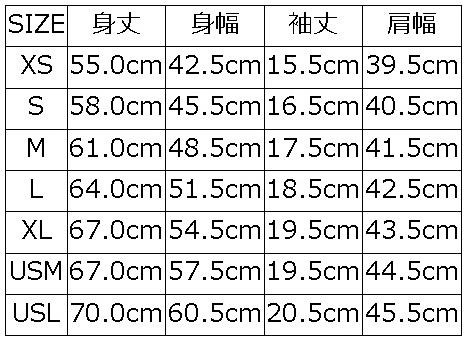 BRGM-00B8 ブランドロゴTシャツ00B8 BRGM00B8 DELUXEWARE デラックスウエアTシャツの画像