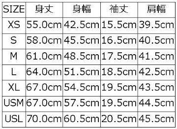 BRGM-00B8 ブランドロゴTシャツ00B8 BRGM00B8 DELUXEWARE デラックスウエアTシャツの画像