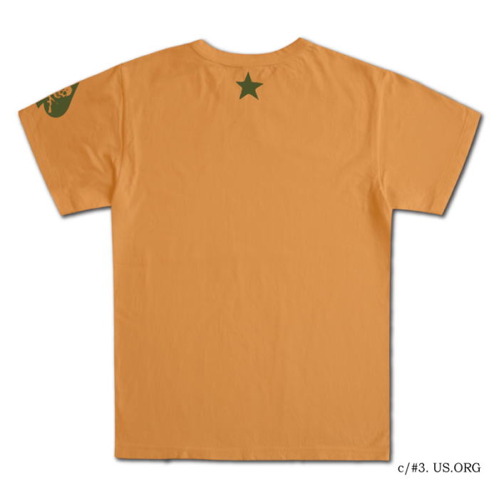 MT-2102-FLY-MT2102-DELUXEWARE-デラックスウエアTシャツの画像
