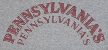SPL-03-グレー-PENNSYLVANIA-SPL03-DELUXEWARE-デラックスウエアスウェット・デラックスウエアスエットの画像