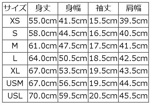 BRG-00B4-ブランドロゴTシャツ00B4-BRG00B4-DELUXEWARE-デラックスウエアTシャツの画像