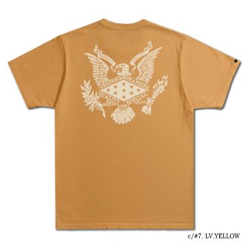 DXT-2403 STARS DXT2403 DELUXEWARE デラックスウエアＴシャツの画像