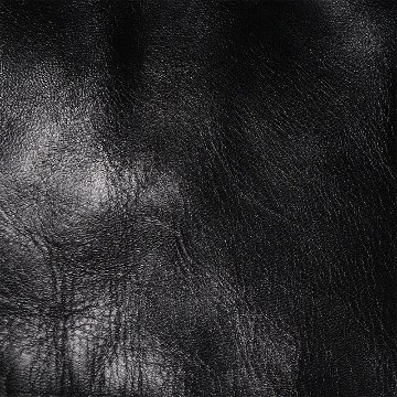 D-21B BK SINGLE HORSE D21B DELUXEWARE デラックスウエアレザージャケット ライダースジャケット 革ジャン アウターの画像