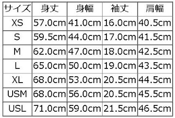 BRG-00B5-ブランドロゴTシャツ00B5-BRG00B5-DELUXEWARE-デラックスウエアTシャツの画像