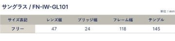 FN-IW-GL101 サングラス FNIWGL101 FLATHEAD フラットヘッドサングラス EYEWEAR-SHADES　シェードの画像