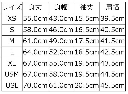 BRGM-00B13 ブランドロゴTシャツ00B13 BRGM00B13 DELUXEWARE デラックスウエアTシャツの画像