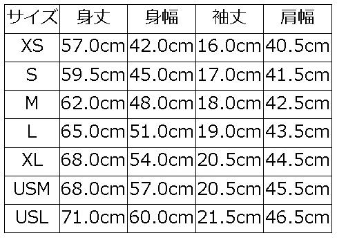 BRGD-261 ブランドロゴTシャツ261 BRGD261 DELUXEWARE デラックスウエアTシャツの画像