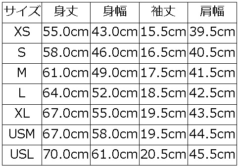 BRGM-00B15 ブランドロゴTシャツ00B15 BRGM00B15 DELUXEWARE デラックスウエアTシャツの画像