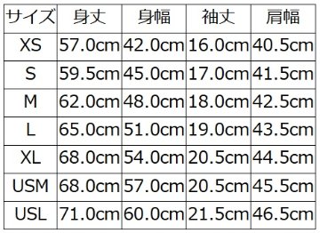 SDTS-00 FRS.GRN SDY.3 SDTS00 DELUXEWARE デラックスウエアＴシャツ 無地Tシャツの画像